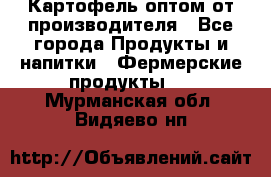 Картофель оптом от производителя - Все города Продукты и напитки » Фермерские продукты   . Мурманская обл.,Видяево нп